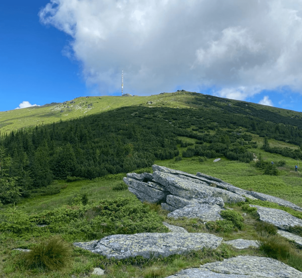 Pohľad na Kráľovú Hoľu: Vystup z Telgártu.