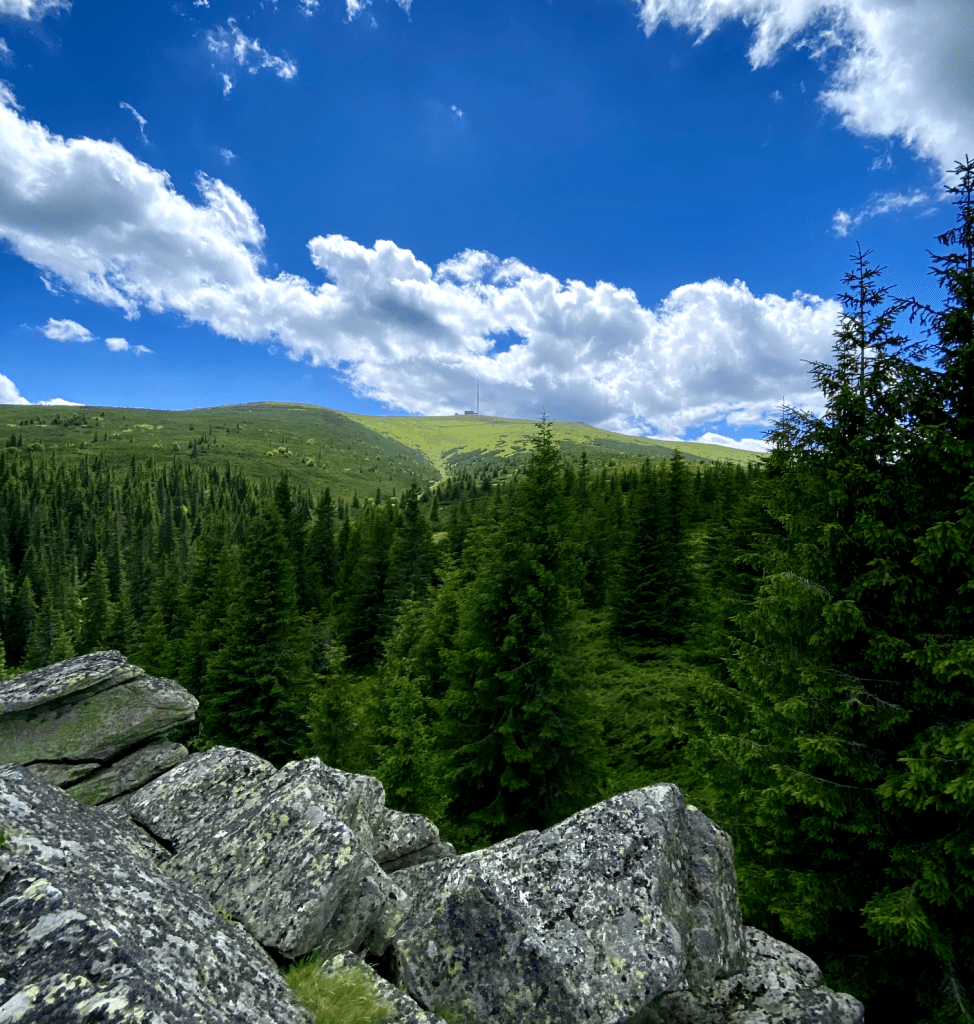 Pohľad na Kráľovú Hoľu z Martalúzky.