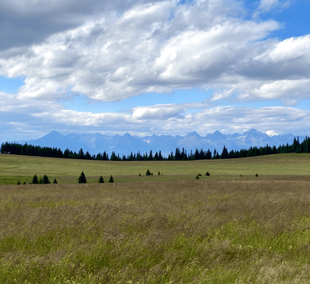 Pohľad na Vysoké Tatry zo Smerečinskeho Sedla počas výstupu z obce Vernár.