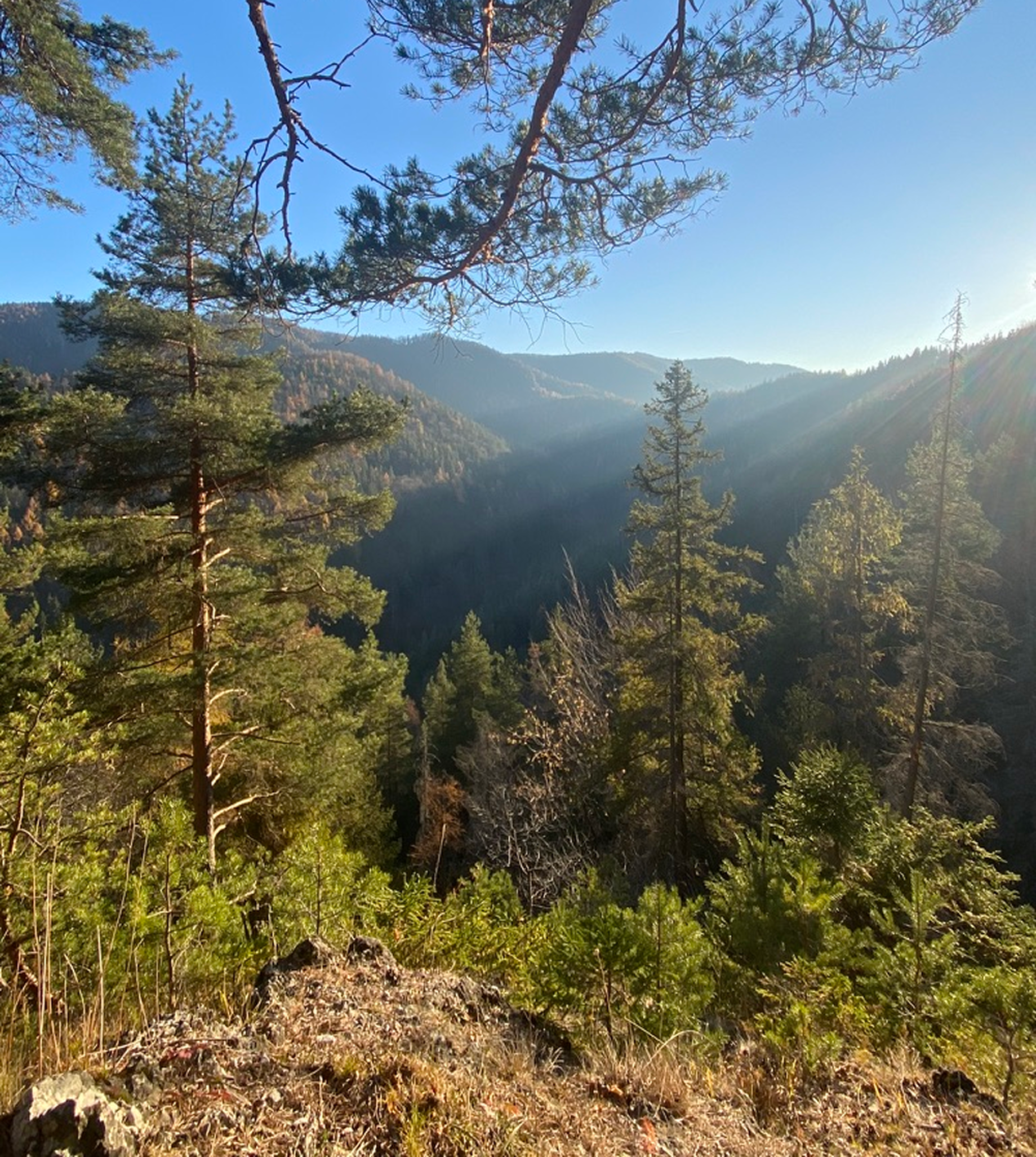 Vyhlad do Slovenskeho raja.